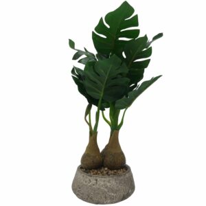 Τεχνητό Φυτό Monstera 30cm με Διπλό Κορμό σε Γλάστρα Πέτρας