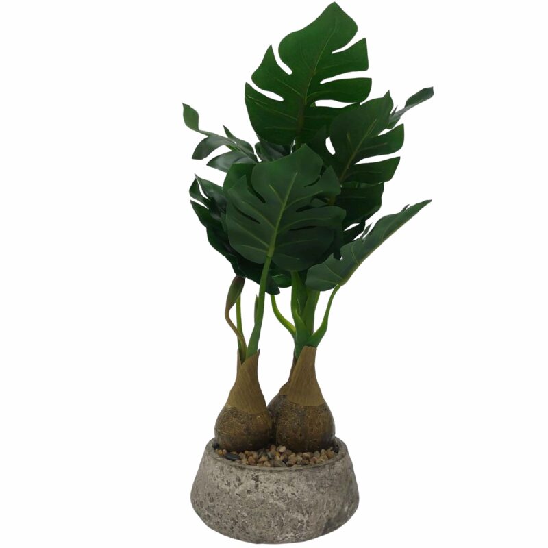 Τεχνητό Φυτό Monstera 30cm με Διπλό Κορμό σε Γλάστρα Πέτρας