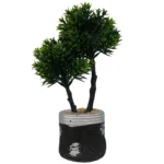 Τεχνητό bonsai δέντρο σε μαύρη τσιμεντένια γλάστρα με ασημί λεπτομέρειες – zen και industrial διακόσμηση χωρίς φροντίδα