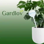 Gardlov διάφανες μπάλες ποτίσματος φυτών 8τμχ  280ml  ιδανικές για αυτόματο πότισμα γλαστρών & κήπων
