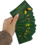 Kruzzel εκπαιδευτικό παιχνίδι ανασκαφής δεινοσαύρων με εργαλεία και κρυμμένους δεινόσαυρους