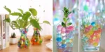 Πολύχρωμες Flower Gel Balls υδρογέλης σε γυάλινο βάζο με φυτό